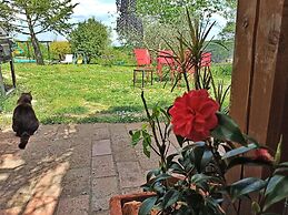 Agriturismo Casa Greppo - L'Ulivo