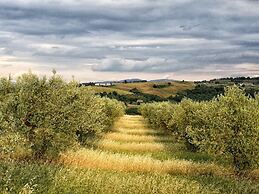 Agriturismo Casa Greppo - L'Ulivo