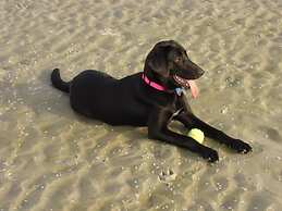 Fripp Villa Sleeps 4 With Free Amenity Passes