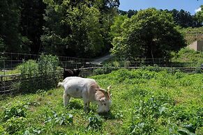 Tsuwabuki-no-Hana