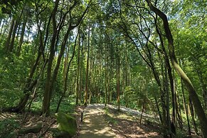 Tsuwabuki-no-Hana
