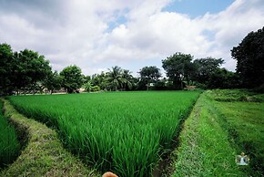 Waterfall Guesthouse