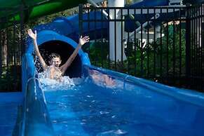 Mickey s Splash Pad 2 Miles to Disney