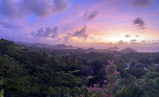 Hummingbird Villa - Tropical 3 bedroom Villa with Panoramic Views 3 Ho