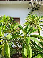 Babalao Bungalows