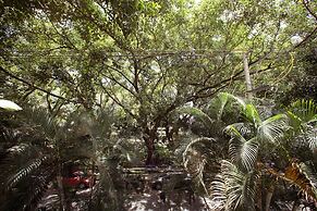 Hojarasca by Wynwood House