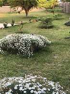 Kavango Dachils Lodges Ext2