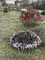 Kavango Dachils Lodges Ext2