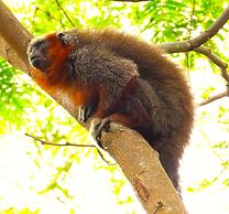 Hotel Campestre Mastranto