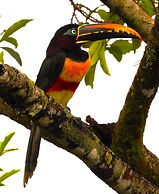 Hotel Campestre Mastranto