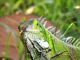 Hotel Campestre Mastranto