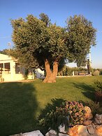 Trulli Lamascrasciola