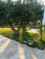 Trulli Lamascrasciola