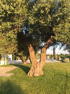 Trulli Lamascrasciola