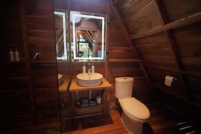 Villa Verde the garden