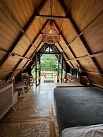 Villa Verde the garden