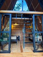 Villa Verde the garden