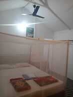 Mountain Palm Patnem Beach