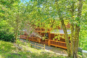 'owl's Nest' Pet-friendly Cabin w/ Private Hot Tub