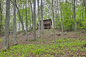 Peaceful Blue Ridge Cabin w/ Decks & Fire Pit