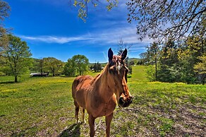 Cozy Trenton Cabin w/ Spa ~ 15 Mi to Lookout Mtn!