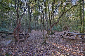 5-acre North Georgia Mountain Retreat w/ Creek!