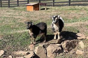 Blue Ridge Cottage: Modern Solace in the Mountains