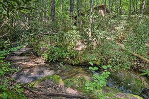 Stunning Dillard Home w/ Yard in Sky Valley!