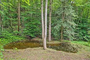 Spacious Blue Ridge Cabin w/ Private Hot Tub!