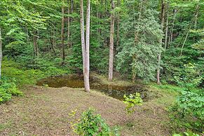 Spacious Blue Ridge Cabin w/ Private Hot Tub!