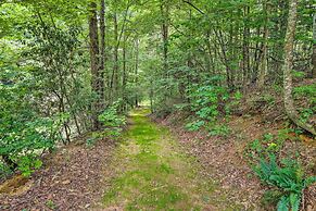 Spacious Blue Ridge Cabin w/ Private Hot Tub!