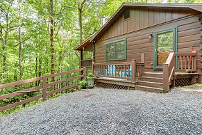 Charming Blue Ridge Cabin w/ Game Room & Hot Tub!