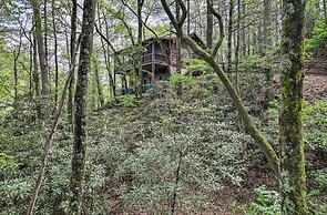 Charming Blue Ridge Cabin w/ Game Room & Hot Tub!