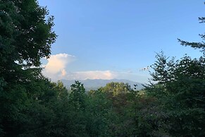 Yellow Mountain Blairsville Cabin w/ Scenic Deck