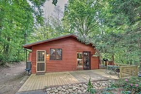 Idyllic Blue Ridge Cabin ~ 1 Mi to Downtown!
