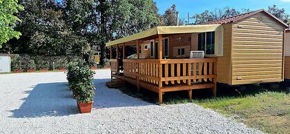 Comfortable Campsite-chalet G12 Tuscany Near sea