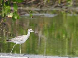 Urantia Beach Hostel & Camping