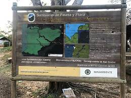 Urantia Beach Hostel & Camping