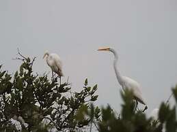 Urantia Beach Hostel & Camping