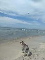 Urantia Beach Hostel & Camping