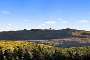 Private Pool & Large Deck: Modern Cotati Villa!