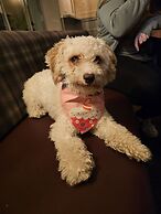 Dog and Partridge Inn