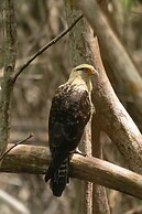 Covenas Refugio de Familia junto al Mar