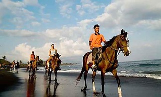 Ubud Mayura Private Pool Villa