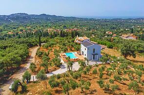 Olivista in Platonas