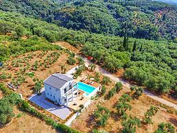 Olivista in Platonas