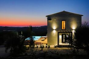 Olivista in Platonas