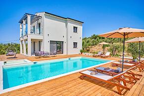 Olivista in Platonas