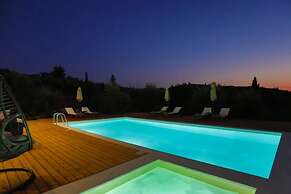 Olivista in Platonas