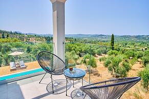 Olivista in Platonas